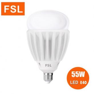 FSL LED HIGH POWER BULB 55W (E40)